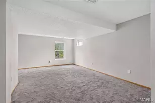 107 Ezekiel Ct, Hillsboro, MO 63050 - Photo 37