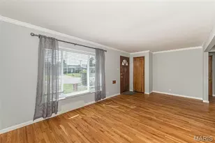 10106 Hammerdale Ln, Saint Louis, MO 63123 - Photo 3
