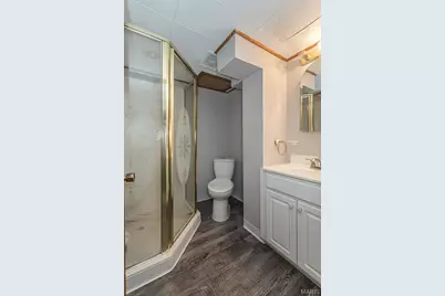 10106 Hammerdale Lane, Saint Louis, MO 63123 - Photo 27