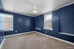 2928 Louisiana Ave, Saint Louis, MO 63118 - Photo 19