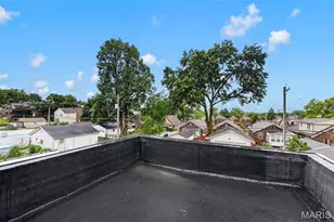 3858 Loughborough Ave, Saint Louis, MO 63116 - Photo 39