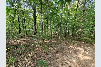 9468 Bent Tree Drive, Hillsboro, MO 63050 - Photo 3