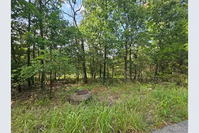 10515 Eagles Nest Drive, Hillsboro, MO 63050 - Photo 1