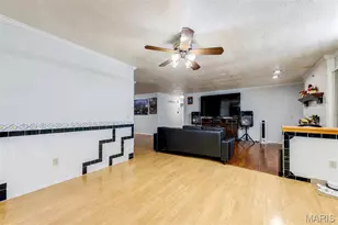 4708 Koglin Ct, Saint Louis, MO 63123 - Photo 17