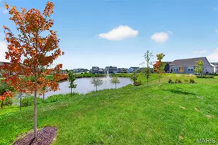 414 Roddens Wy, O'Fallon, MO 63368 - Photo 65
