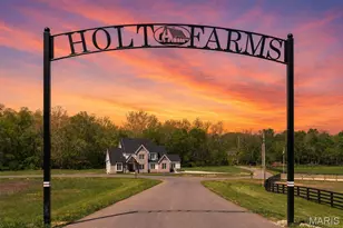Lot 36 Holt Acres Ct, Wentzville, MO 63385 - Photo 1