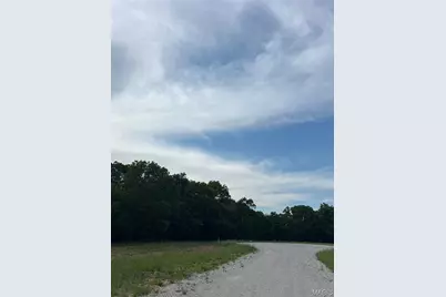 Lot 36 Holt Acres Court, Wentzville, MO 63385 - Photo 3