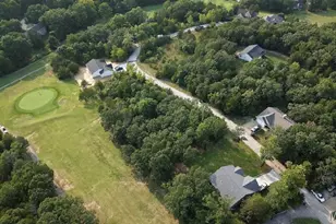 Lot 18// 165 Cotton Blossom Dr, Hillsboro, MO 63050 - Photo 1