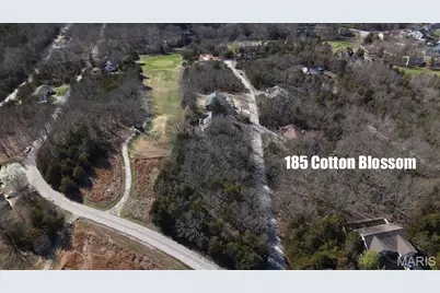 5 Lots Cotton Blossom Drive, Hillsboro, MO 63050 - Photo 69