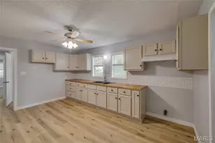 3037 Hwy 221, Doe Run, MO 63637 - Photo 5