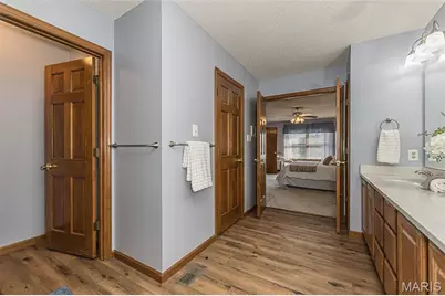 3 River Moss Court, Saint Peters, MO 63376 - Photo 29