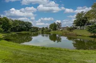 1039 Silo Bend Dr, Wentzville, MO 63385 - Photo 37