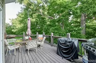47 Dry Branch Ct, Wentzville, MO 63385 - Photo 89