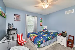 47 Dry Branch Ct, Wentzville, MO 63385 - Photo 53