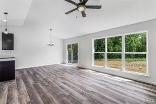 726 Blake Dr, Hillsboro, MO 63050 - Photo 21