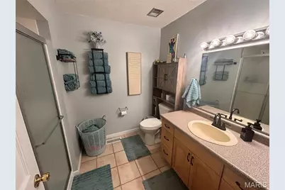 185 Lake Apollo Drive, Hannibal, MO 63401 - Photo 7
