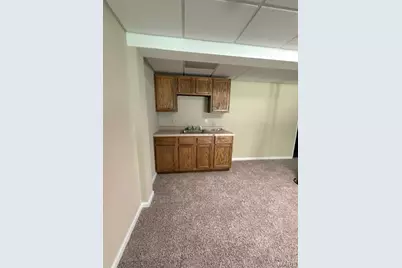1255 Canepa Road, Festus, MO 63028 - Photo 23