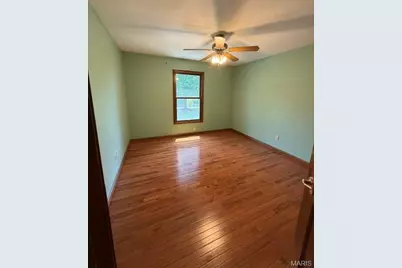 1255 Canepa Road, Festus, MO 63028 - Photo 19