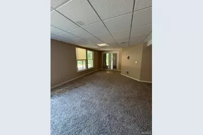 1255 Canepa Road, Festus, MO 63028 - Photo 25