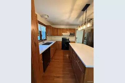 1255 Canepa Road, Festus, MO 63028 - Photo 5