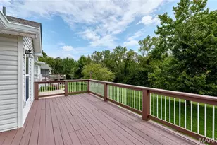239 Park Ridge Dr, O'Fallon, MO 63366 - Photo 71