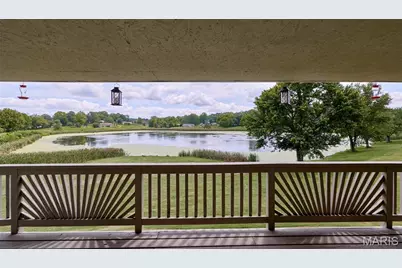 55 Lakeview Circle, Elsberry, MO 63343 - Photo 29
