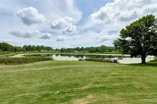 55 Lakeview Cir, Elsberry, MO 63343 - Photo 53
