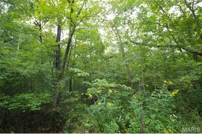 4.14 +/- Acres Pendleton Lost Creek Road, Warrenton, MO 63383 - Photo 1