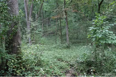 6.72 +/- Acres Pendleton Lost Creek Road, Warrenton, MO 63383 - Photo 1