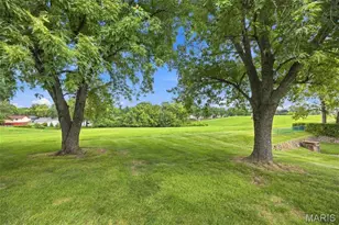 13019 Tiger Lily Ct, Saint Louis, MO 63146 - Photo 27