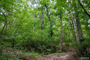 98 Wooden Nickel Dr, Foley, MO 63347 - Photo 77
