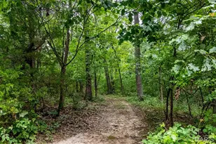 98 Wooden Nickel Dr, Foley, MO 63347 - Photo 73