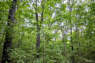 98 Wooden Nickel Dr, Foley, MO 63347 - Photo 67