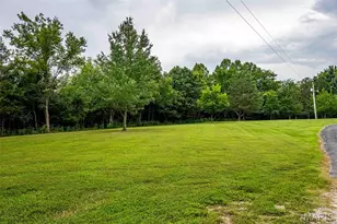 98 Wooden Nickel Dr, Foley, MO 63347 - Photo 51