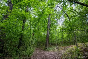 98 Wooden Nickel Dr, Foley, MO 63347 - Photo 83
