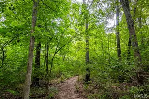 98 Wooden Nickel Dr, Foley, MO 63347 - Photo 87