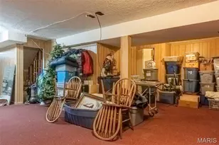 98 Wooden Nickel Dr, Foley, MO 63347 - Photo 29