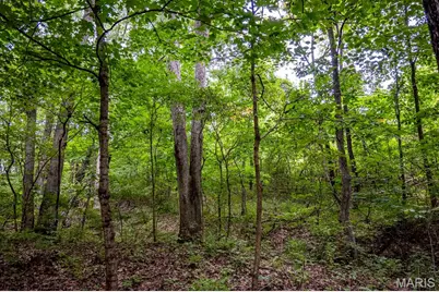 98 Wooden Nickel Drive, Foley, MO 63347 - Photo 77