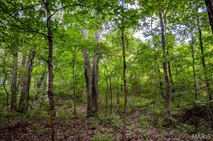 98 Wooden Nickel Dr, Foley, MO 63347 - Photo 77