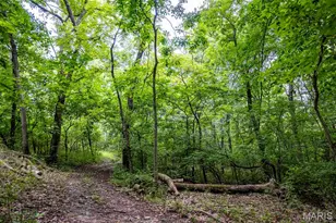 98 Wooden Nickel Dr, Foley, MO 63347 - Photo 83