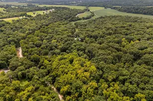 98 Wooden Nickel Dr, Foley, MO 63347 - Photo 87