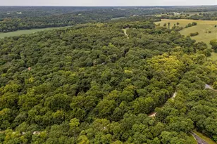 98 Wooden Nickel Dr, Foley, MO 63347 - Photo 75