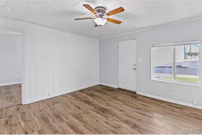 121 Chestnut Street, Festus, MO 63028 - Photo 9