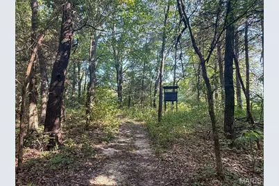 17499 Ostrich Drive, Lebanon, MO 65536 - Photo 13
