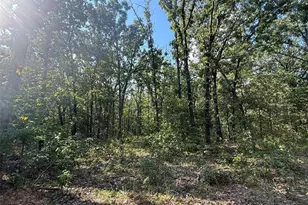 17499 Ostrich Dr, Lebanon, MO 65536 - Photo 11