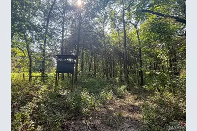 17499 Ostrich Drive, Lebanon, MO 65536 - Photo 15