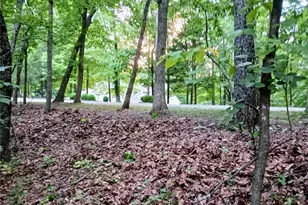 000 Fairfield Valley Rd, Pacific, MO 63069 - Photo 1