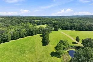 9007 Crossman Rd, Bonne Terre, MO 63628 - Photo 33