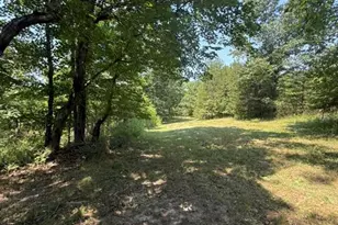 9007 Crossman Rd, Bonne Terre, MO 63628 - Photo 47