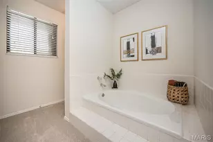 1538 Woodroyal W Dr, Chesterfield, MO 63017 - Photo 31